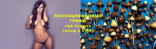 трава Балахна