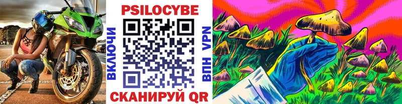 продажа наркотиков  Верхнеуральск  Галлюциногенные грибы GOLDEN TEACHER 